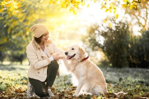 Woman kneeling and shaking hands with a golden retriever in a sunny park with autumn leaves.
