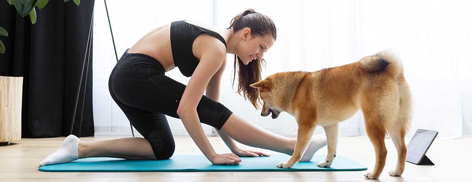 Praticare il Doga: yoga per cani!