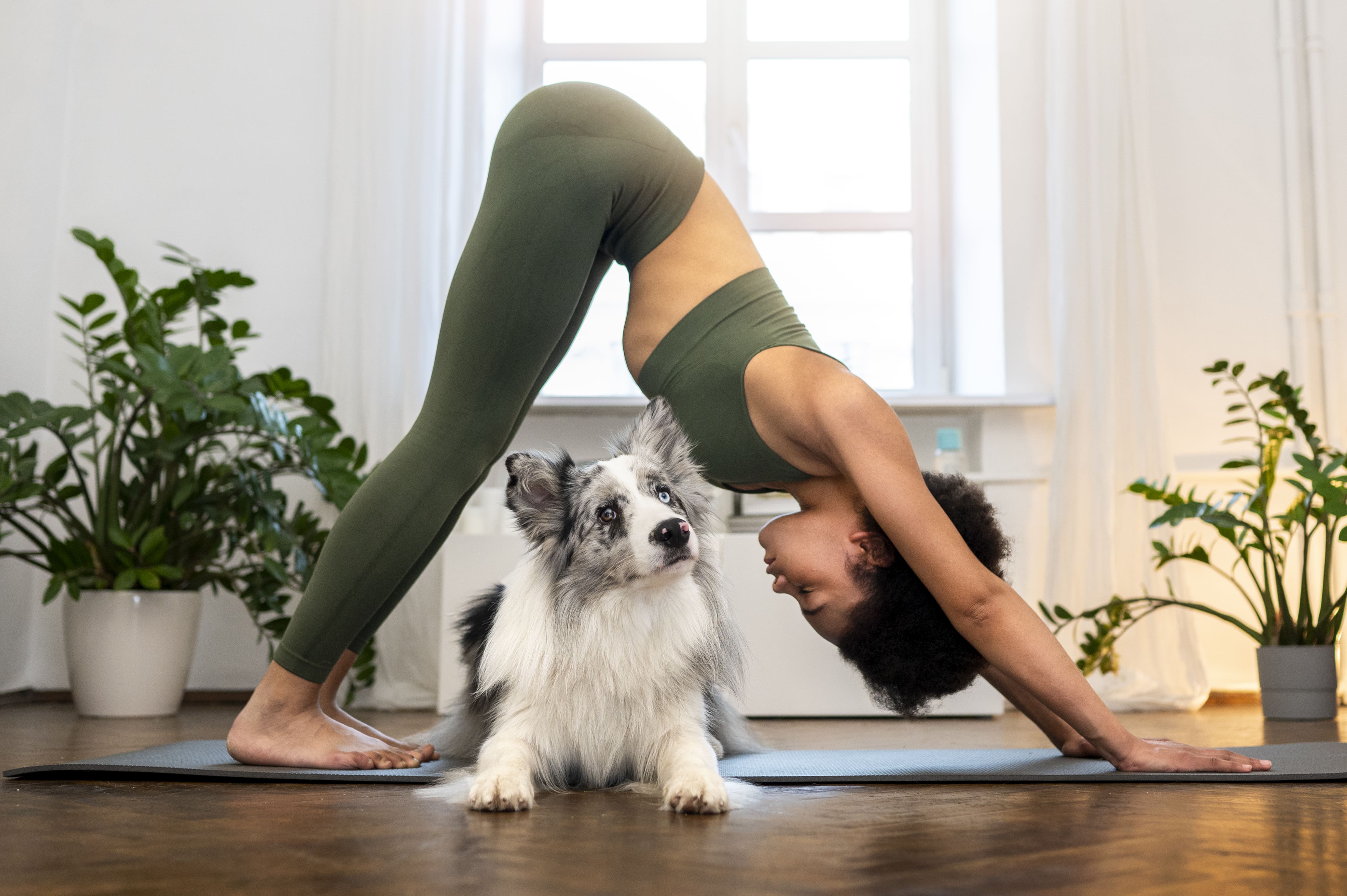 woman-doing-yoga-accompanied-by-their-pet 