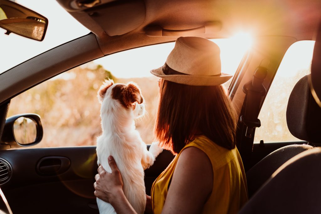 proprietario di un cane e di un animale domestico che guarda dal finestrino dell'auto