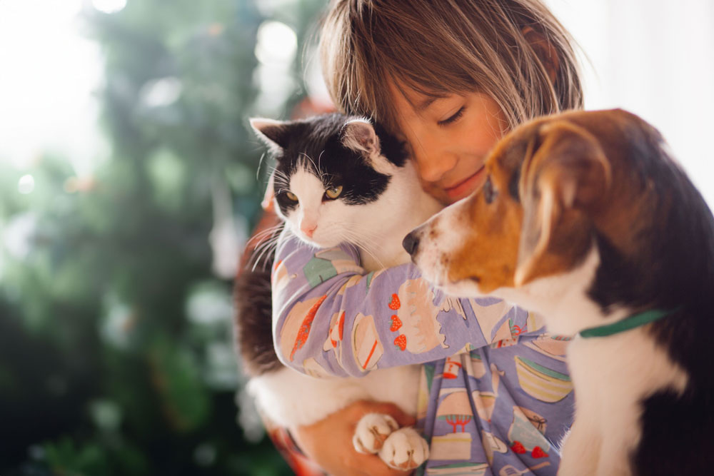 Unisciti alla community di MyPet.com per i migliori consigli sulla cura del tuo pet