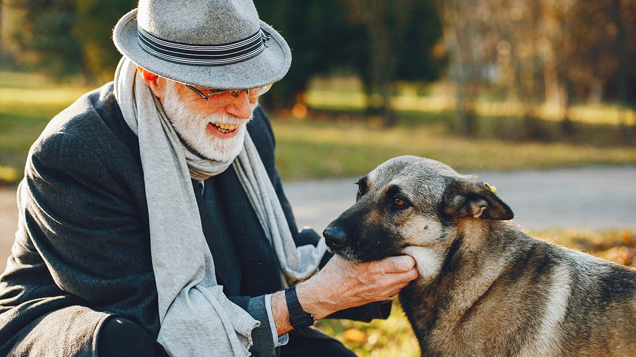 Prendersi cura dei pet anziani e disabili