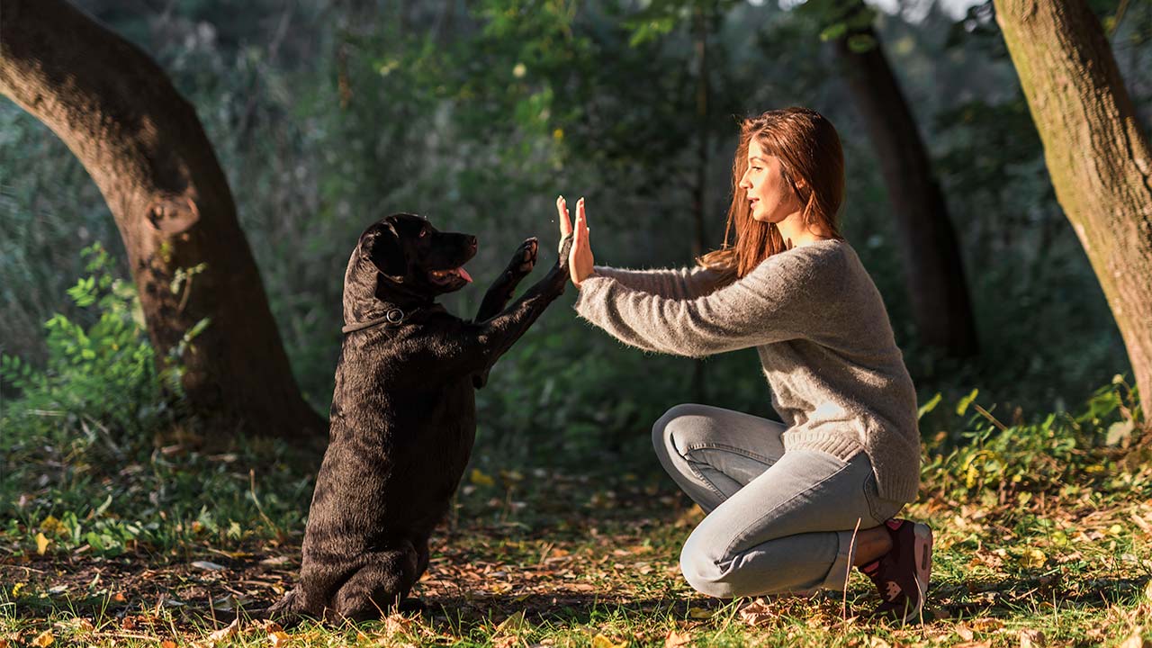 Vivere con un pet: i nostri consigli per i pet owner