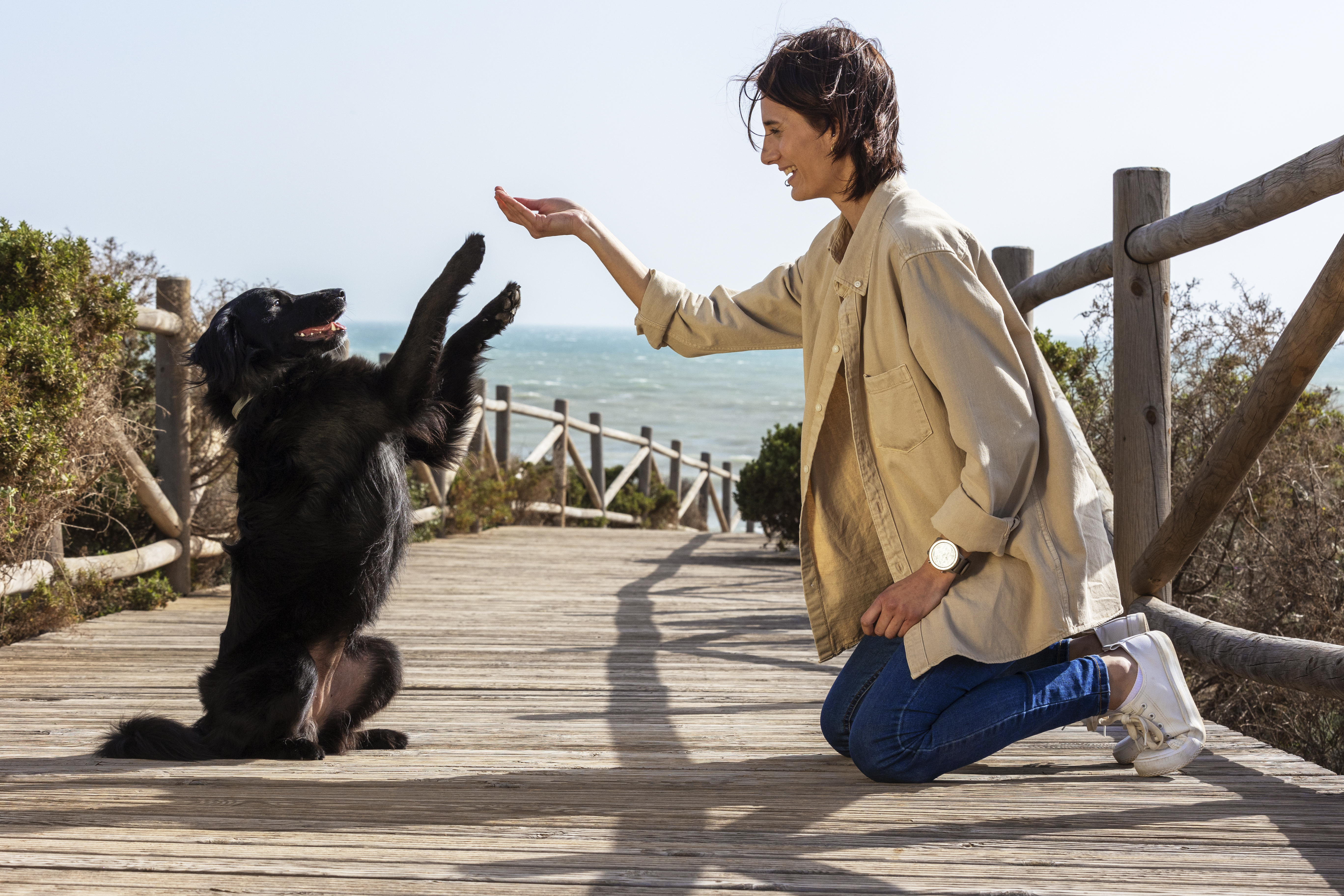dog trainer interacting with their pet