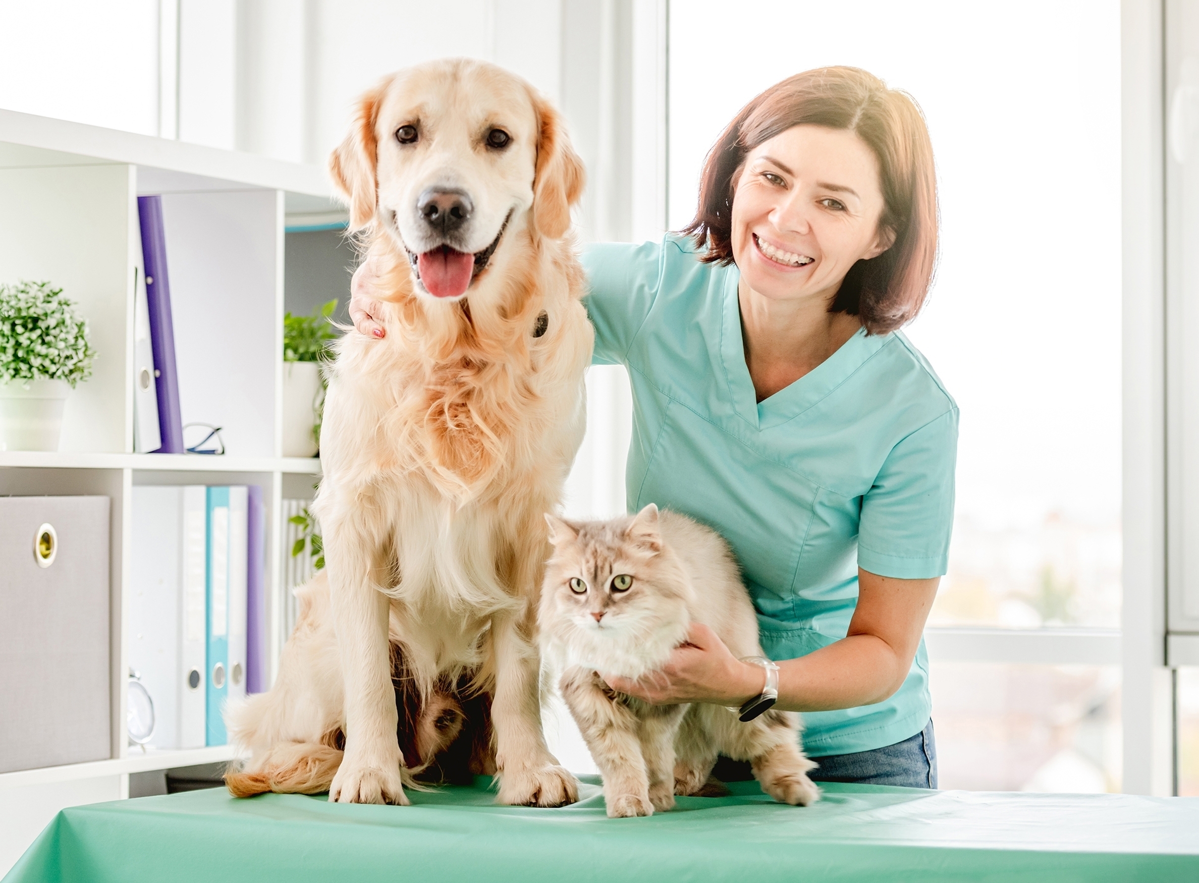 Donna sorridente veterinaria con cane Golden Retriever e gatto peloso