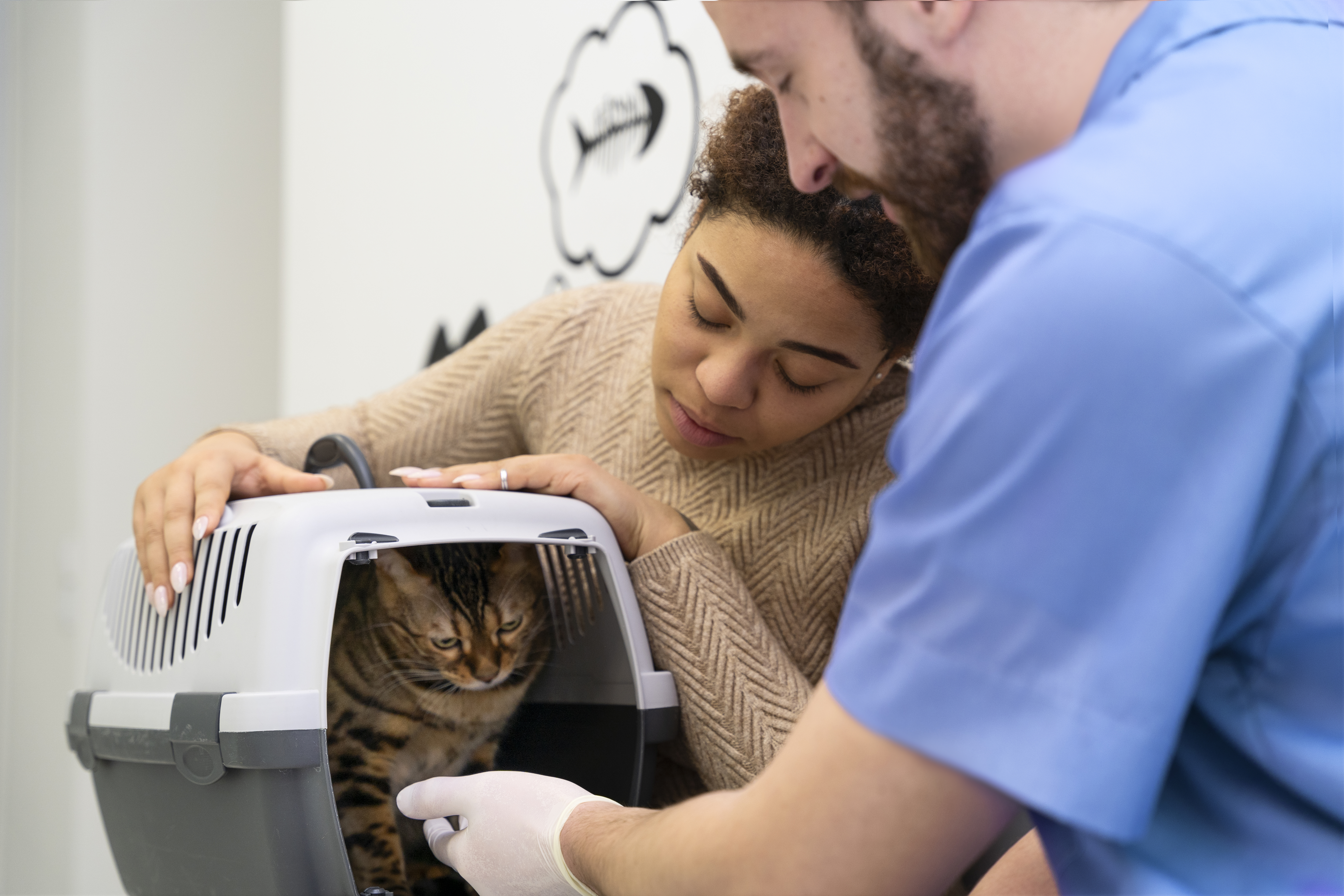 primo piano persone con gatto carino clinica
