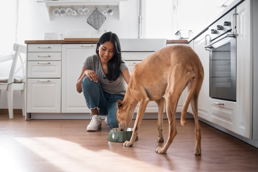 donna che nutre il cane in fotografia intera