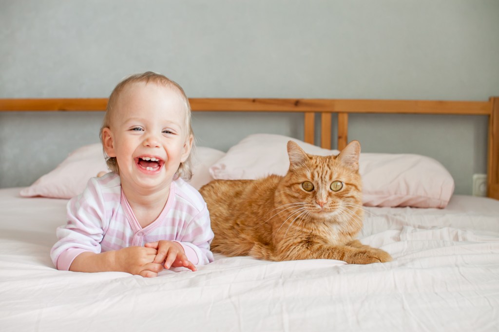 Una bambina carina è seduta sul letto con un grasso gatto rosso, lo accarezza e gioca con lui.