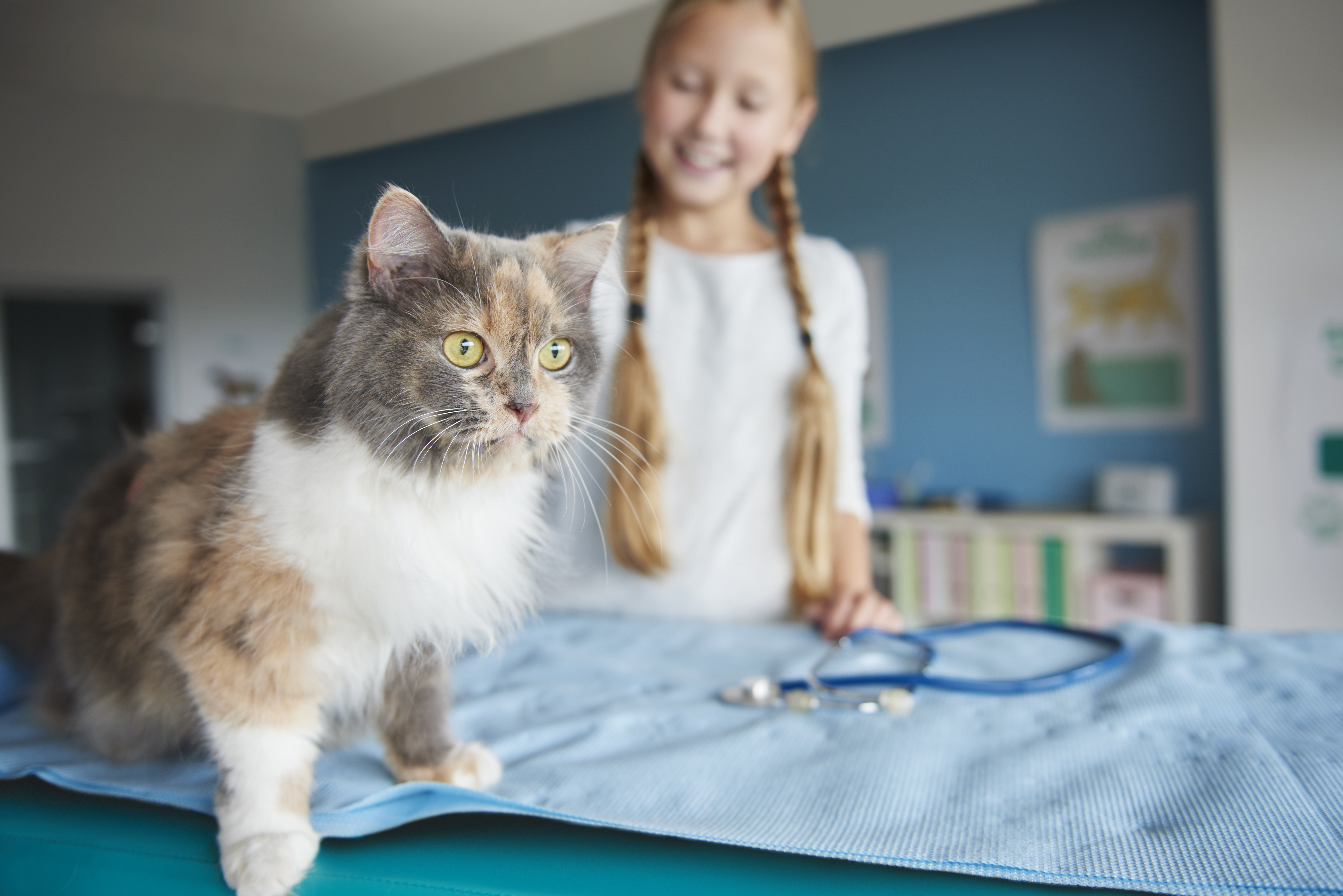 Donna e il suo gatto dal veterinario