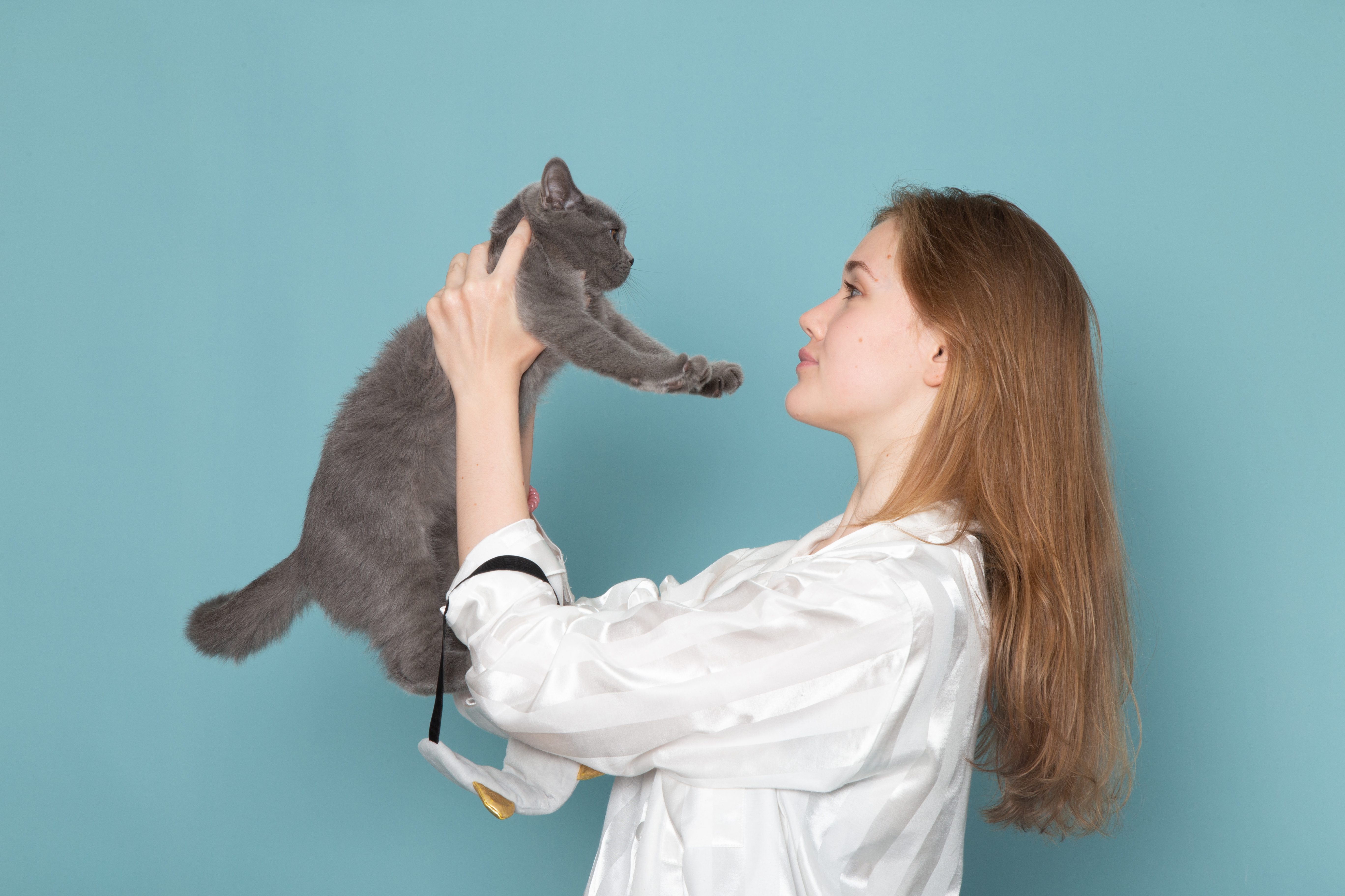 giovane femmina pigiama che tiene carino gattino grigio blu