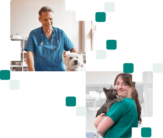 guida alla cura preventiva per gli animali domestici
